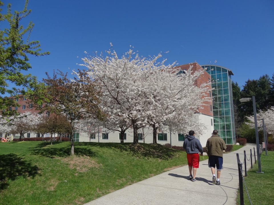 RAMAPO.jpg